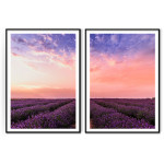 Field full of Purple Flowers - Two Piece Poster