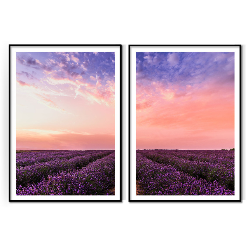Field full of Purple Flowers - Two Piece Poster