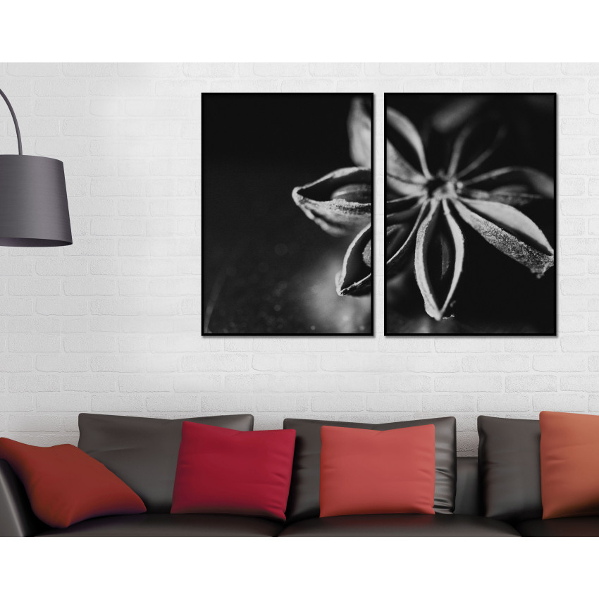 Närbild på blomma i mörker - Svartvit tavla