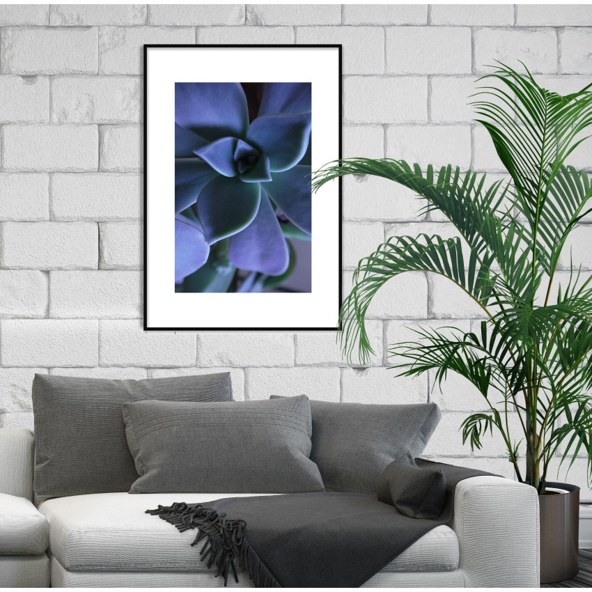 Botaniska V&auml;xter och Blommor - Poster