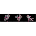 Flowers in the Dark - Poster in Three Pieces