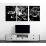 Flying Owl - Big Poster in Three Pieces