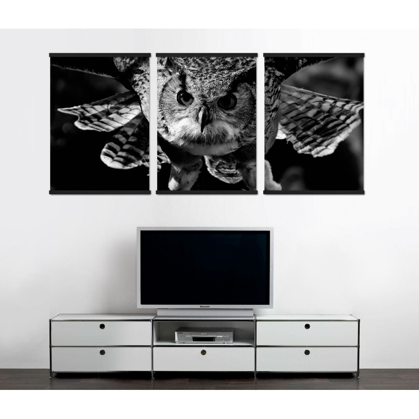Flying Owl - Big Poster in Three Pieces