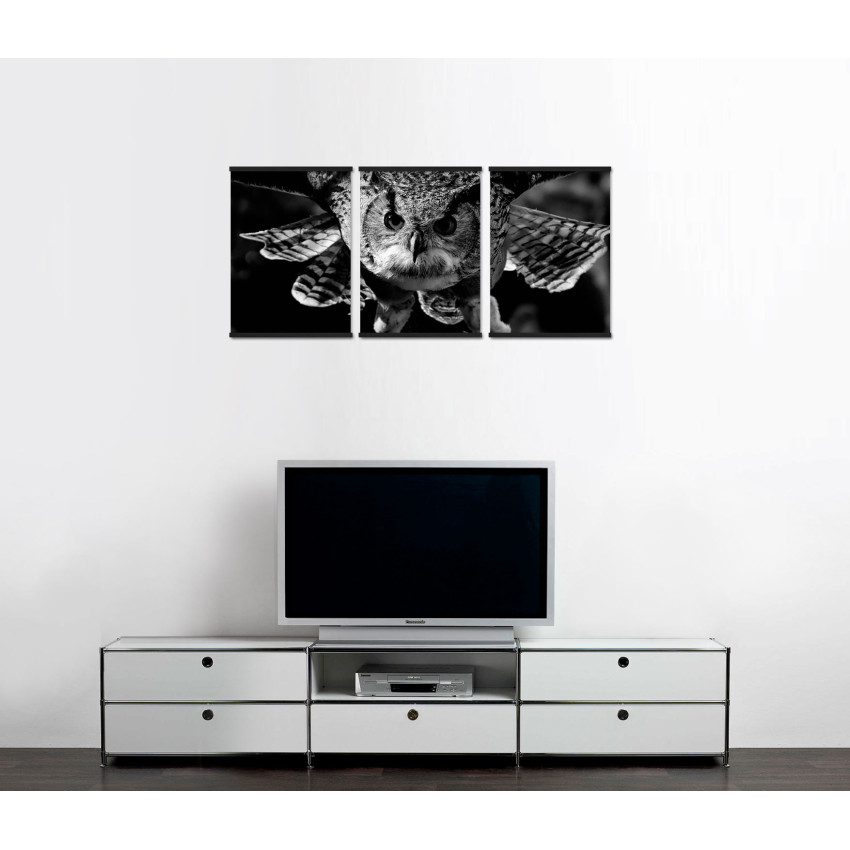 Flying Owl - Big Poster in Three Pieces