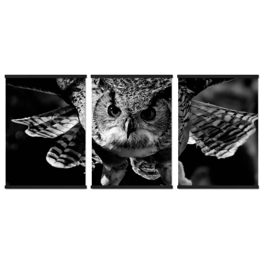 Flying Owl - Big Poster in Three Pieces