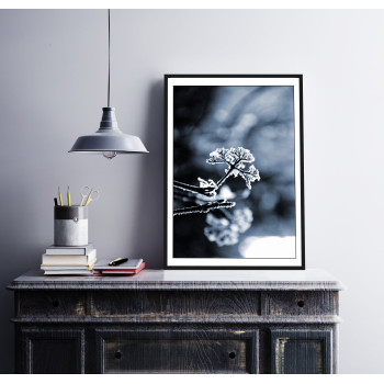 Grenar med Frost - Poster med Vinterbild
