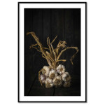 Elegant vitl&ouml;k 50x70cm poster