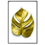 Monstera i guld (50x70cm) - Poster med fri frakt