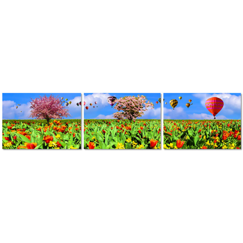 Luftballonger och Blommotiv - Poster i Tre delar