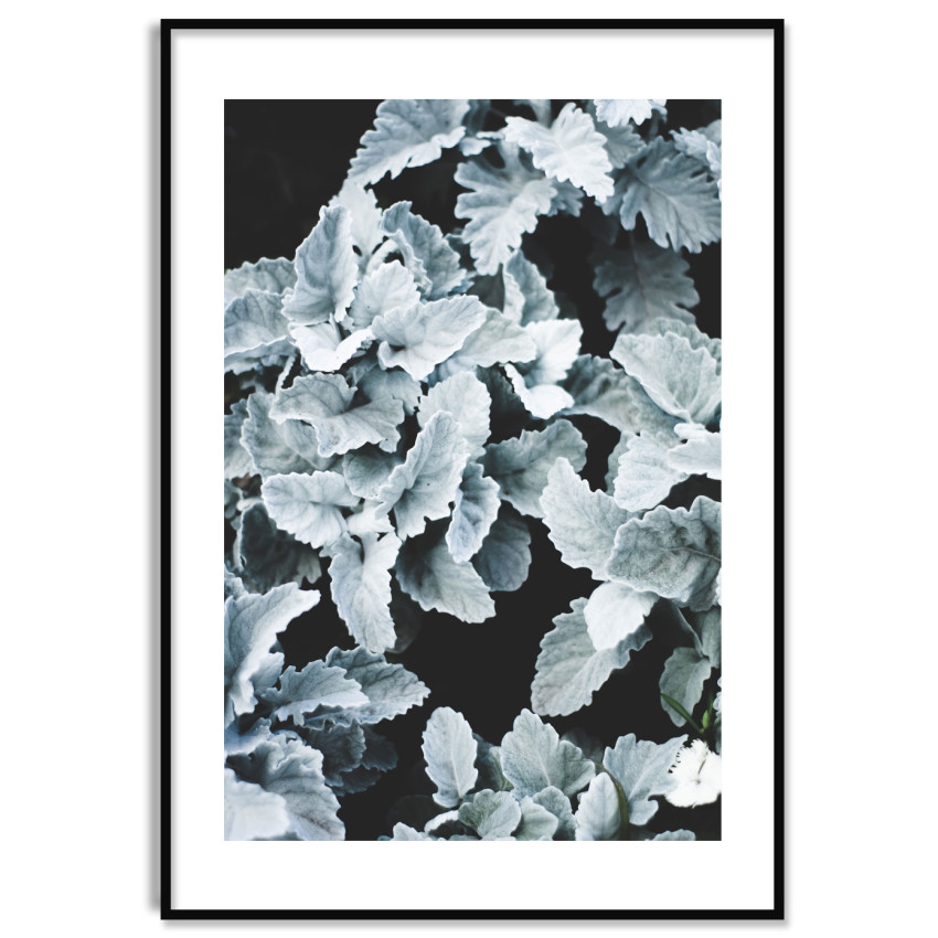 Löv med Frost - Enkel Botanisk Växtposter