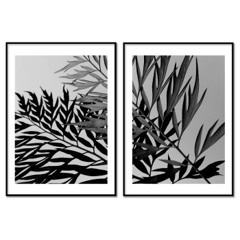Botanisk växtposter - Svartvitt tavelset i två delar