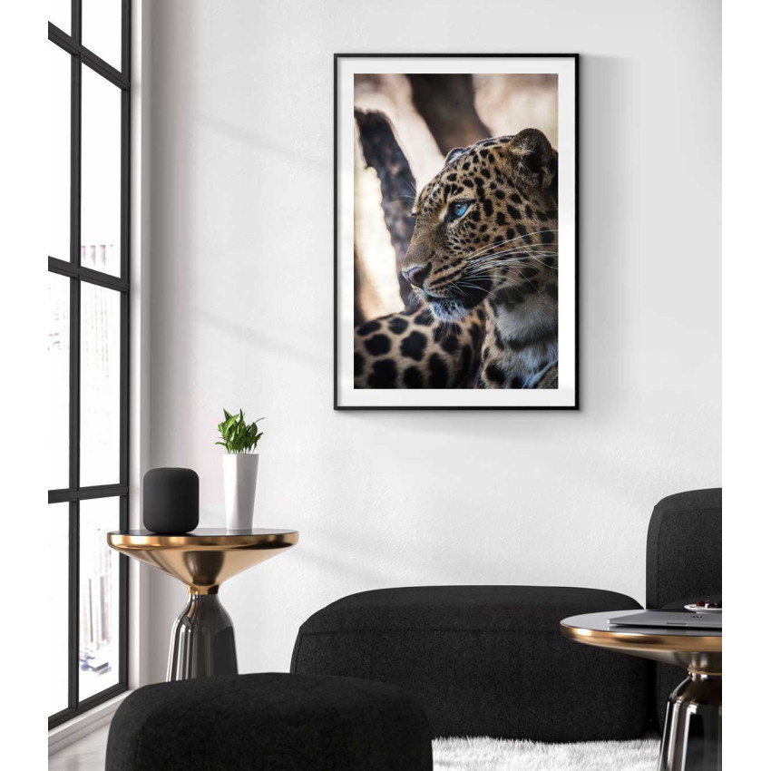 Leopard portrait 61x91cm Animal poster