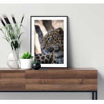 Leopard portrait 61x91cm Animal poster