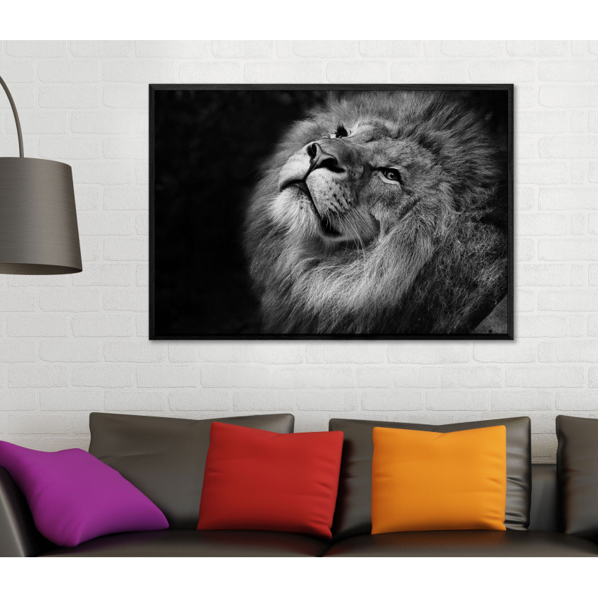 Lion Close Up - Black and White Poster