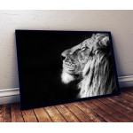 Lejon svartvit poster 50x70cm | Fri frakt