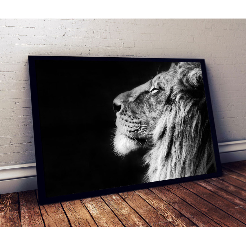 Lejon svartvit poster 50x70cm | Fri frakt