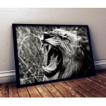 Lion - Poster