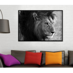 Lion Profile Close Up - Black and White Poster