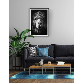 Llama portrait - Trendy poster