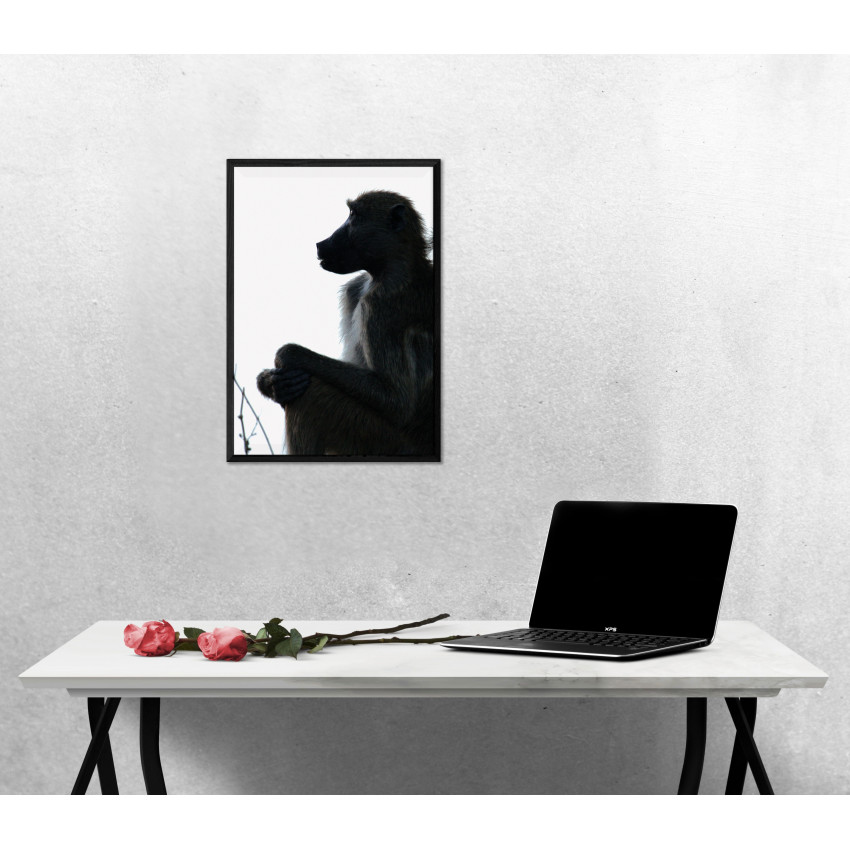 Monkey Profile - Black and White Poster