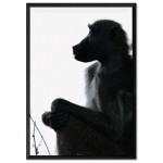 Monkey Profile - Black and White Poster