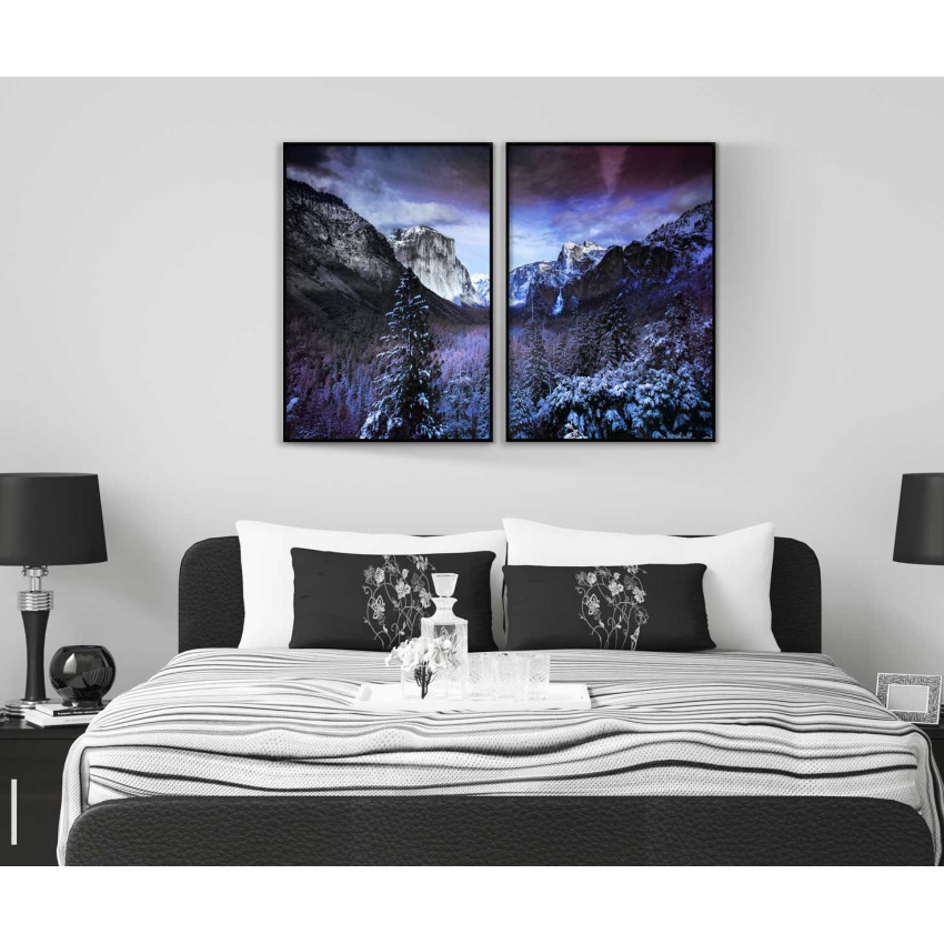 Nordisk m&ouml;rk natur 50x70 cm x 2 posters