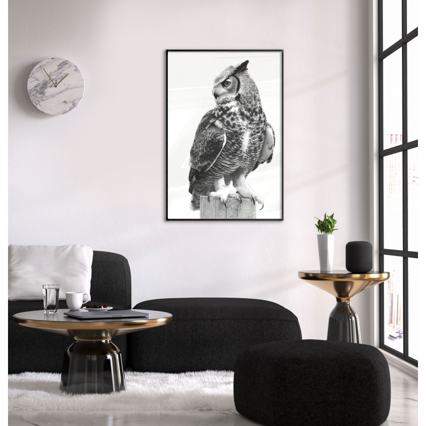 Owl - Poster
