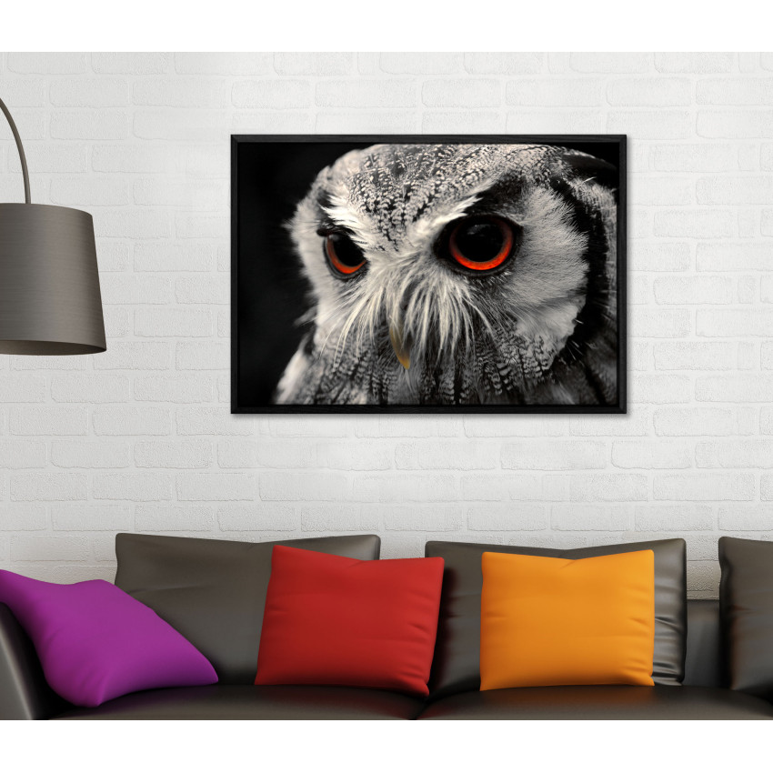 Owl with Red Eyes Close-up - Big Poster