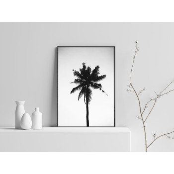 Svartvit Palm - Simpel Växt Poster