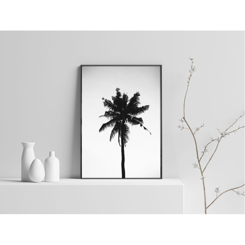 Svartvit Palm - Simpel Växt Poster