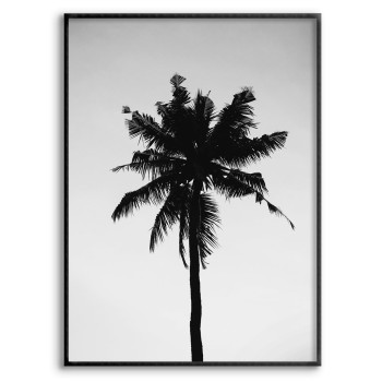 Svartvit Palm - Simpel Växt Poster