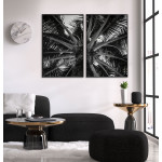 Palm - Botanisk svartvit växtposter i två delar