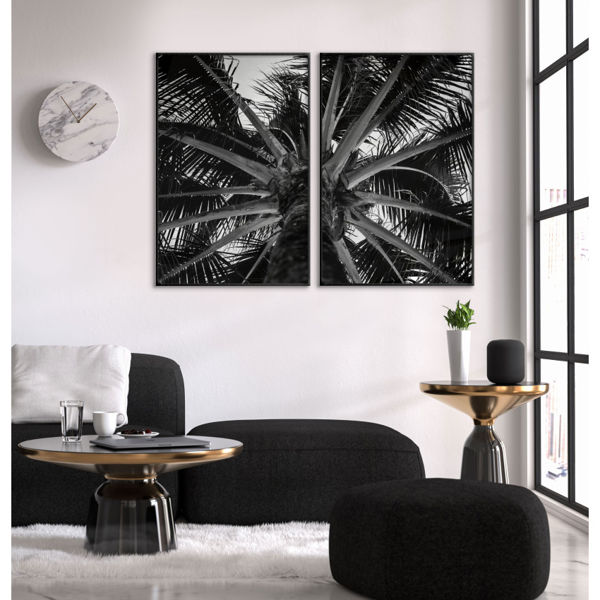 Palm - Botanisk svartvit växtposter i två delar