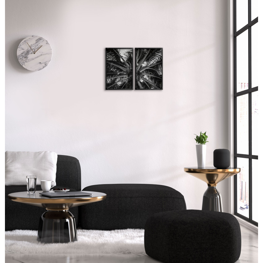 Palm - Botanisk svartvit växtposter i två delar