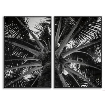Palm Tree - Two Piece Poster