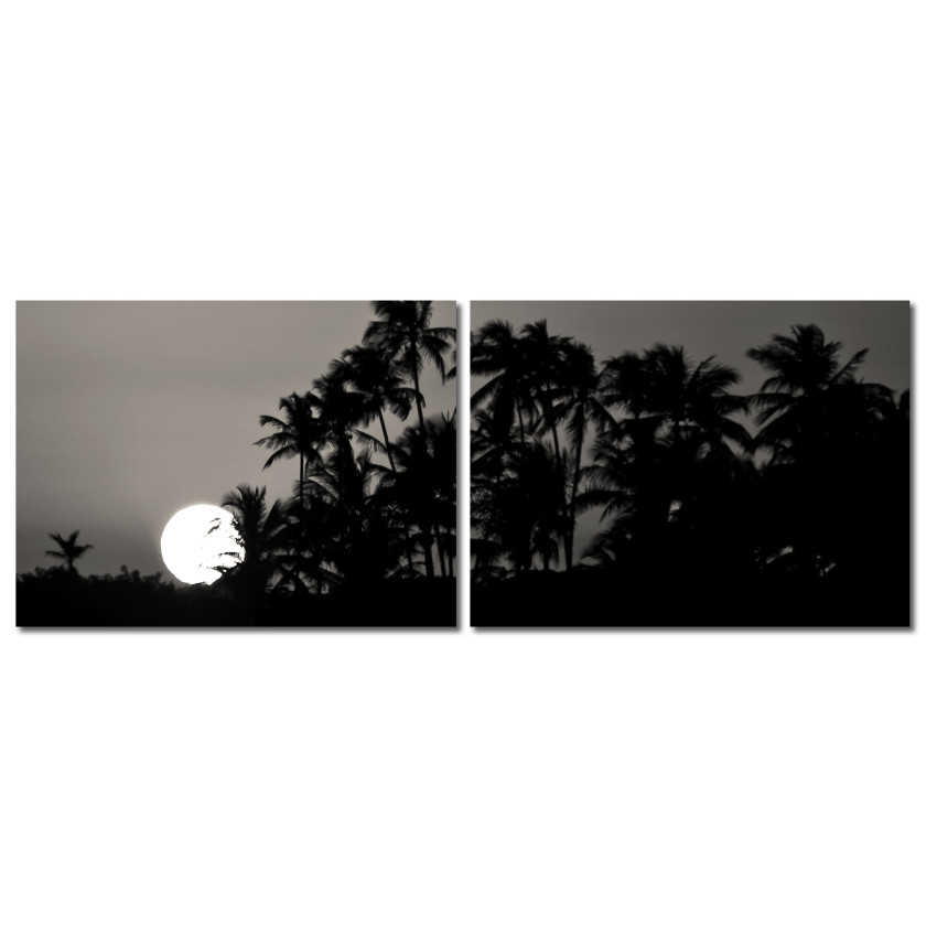 Palm Trees and Night Sun - Black and White Poster in Two Pieces