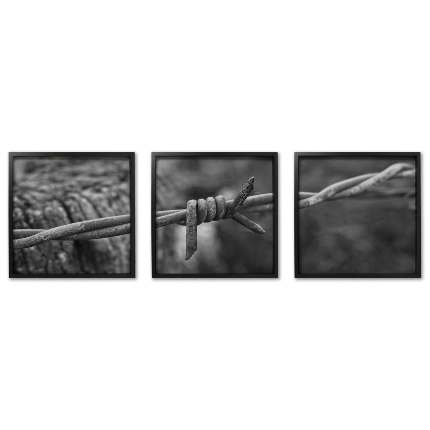 Panorama stålstängsel - Stor svartvit tavla i tre delar