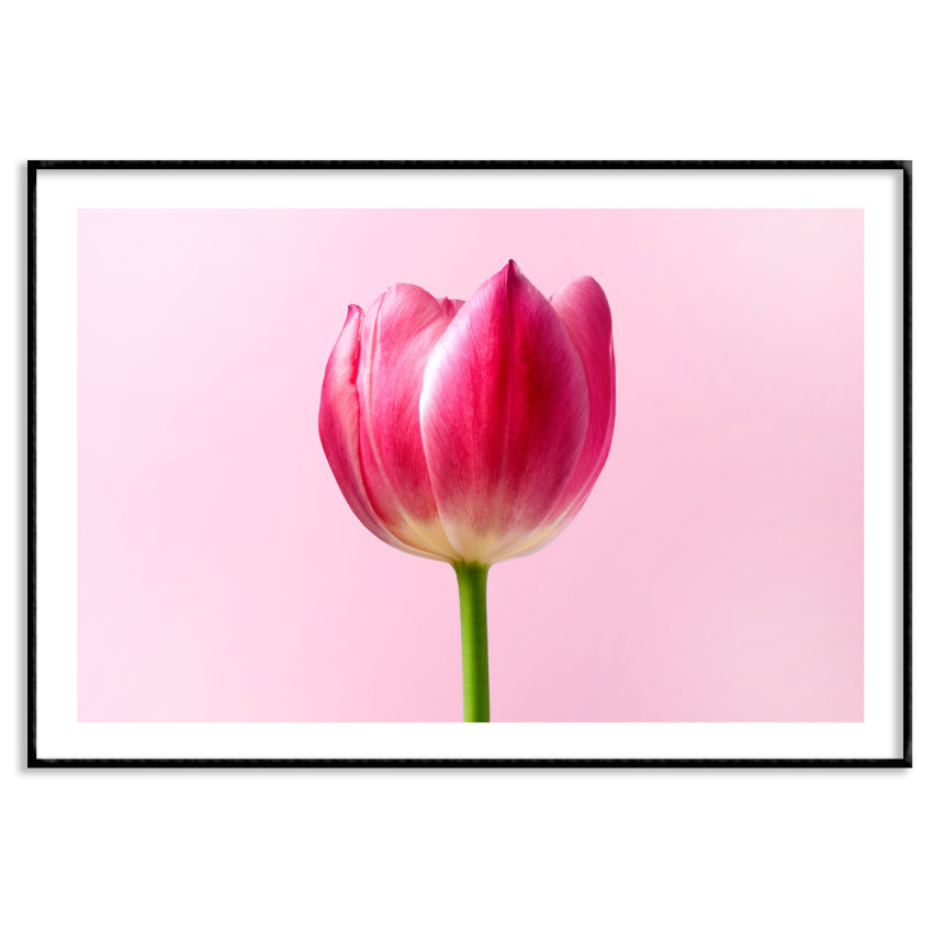 Rosa blomma - Enkel retro poster