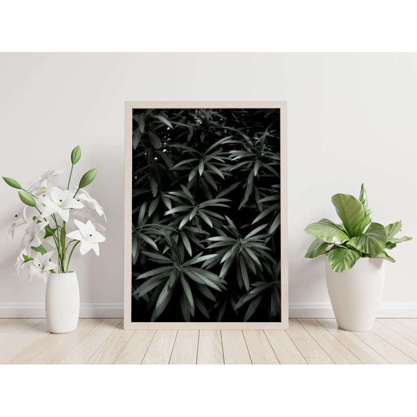 Plants of the Dark Forest - Big Poster