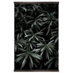 Plants of the Dark Forest - Big Poster