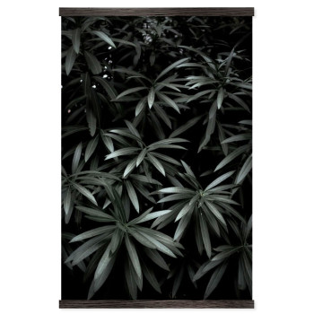 Skogens Växter i Mörker - Poster med Fotografi