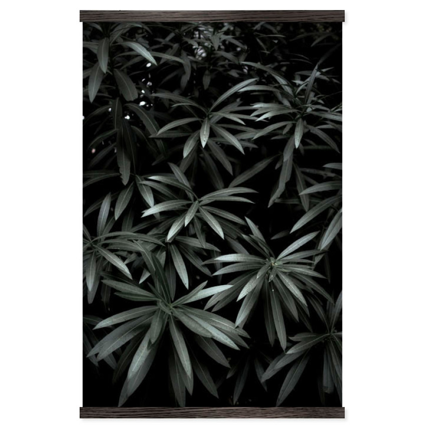 Plants of the Dark Forest - Big Poster