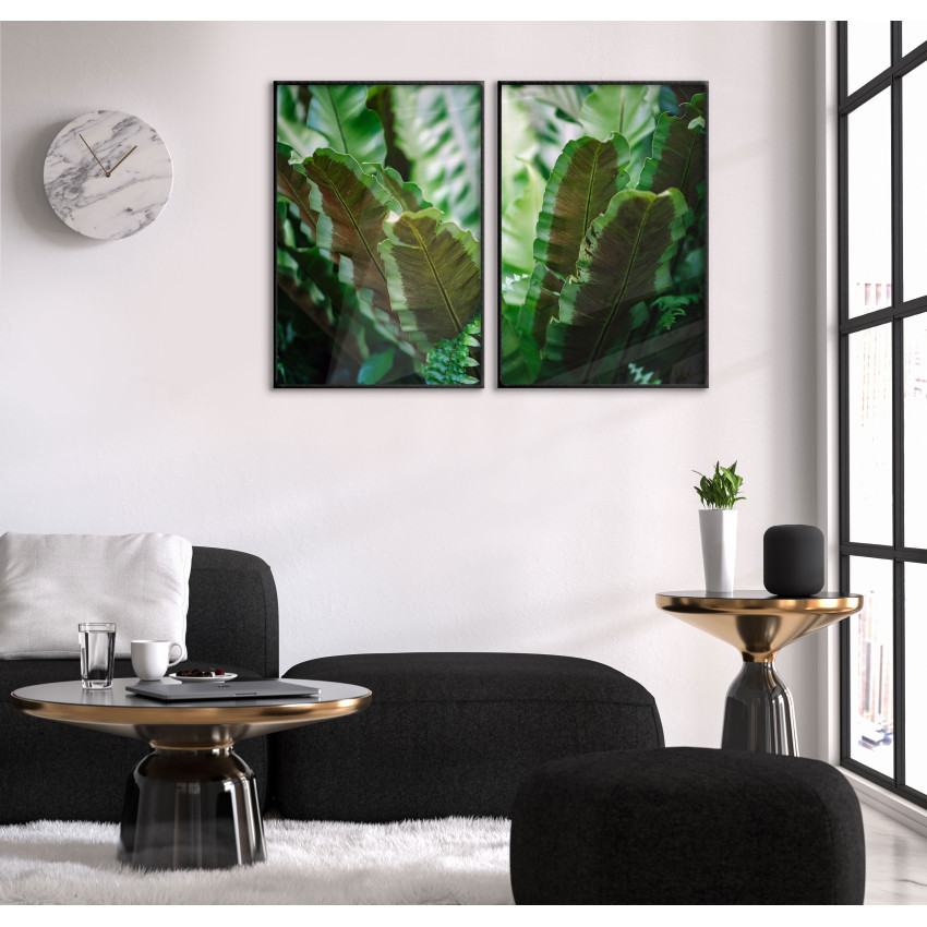 Plants - Two Piece Poster