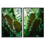 Plants - Two Piece Poster