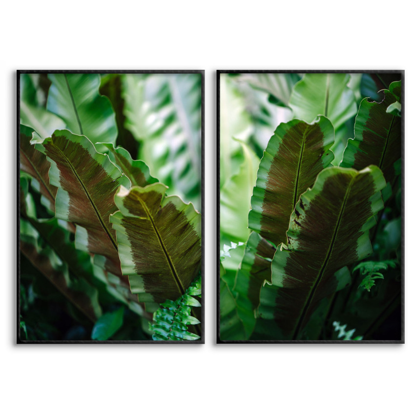 Plants - Two Piece Poster