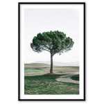 Railroad Express 40x50cm poster