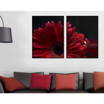 Röd vacker blomma - Snygg tvådelad tavla