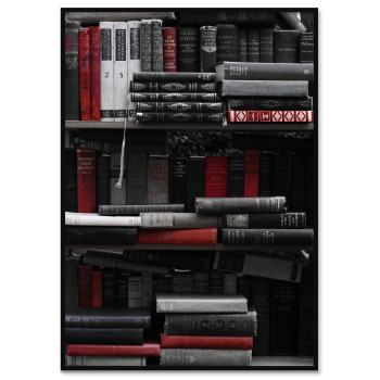Röda Böcker - Svartvit Poster Tavla med Färg