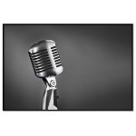 Retro Mikrofon - Stor Svartvit Poster
