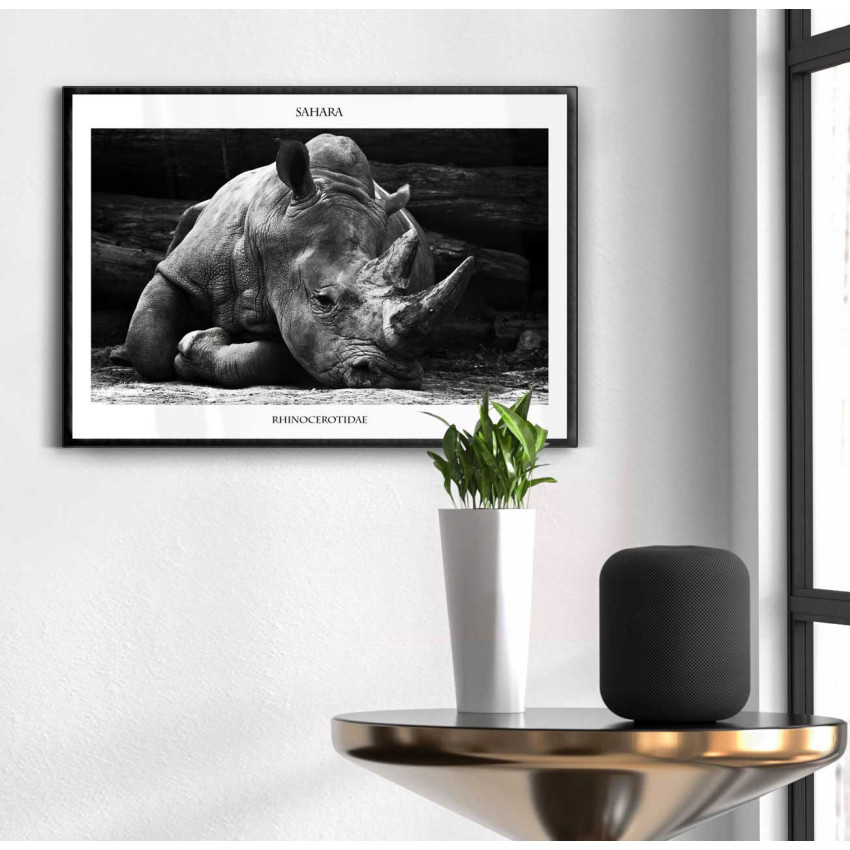 Nosh&ouml;rning svartvit 50x70cm poster